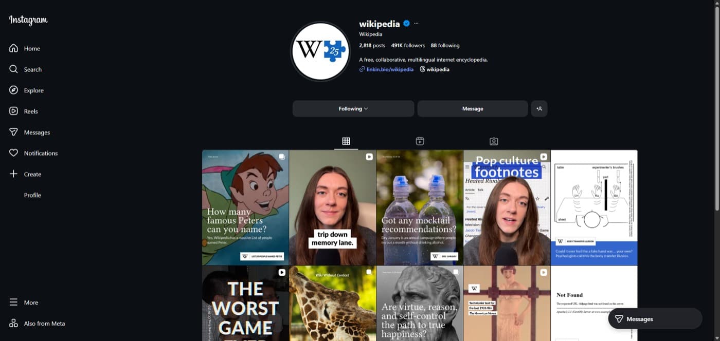 Instagram, UX100 leader in Social Networks